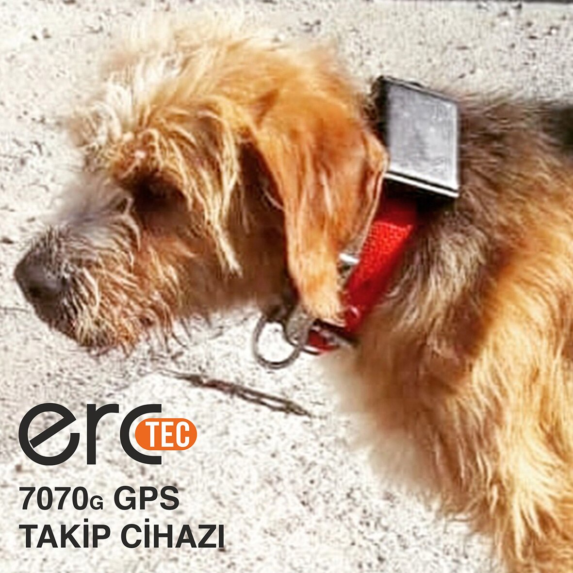 Erctec 7070g 4k Gps Takip Cihazi Fiyatlari Ve Ozellikleri