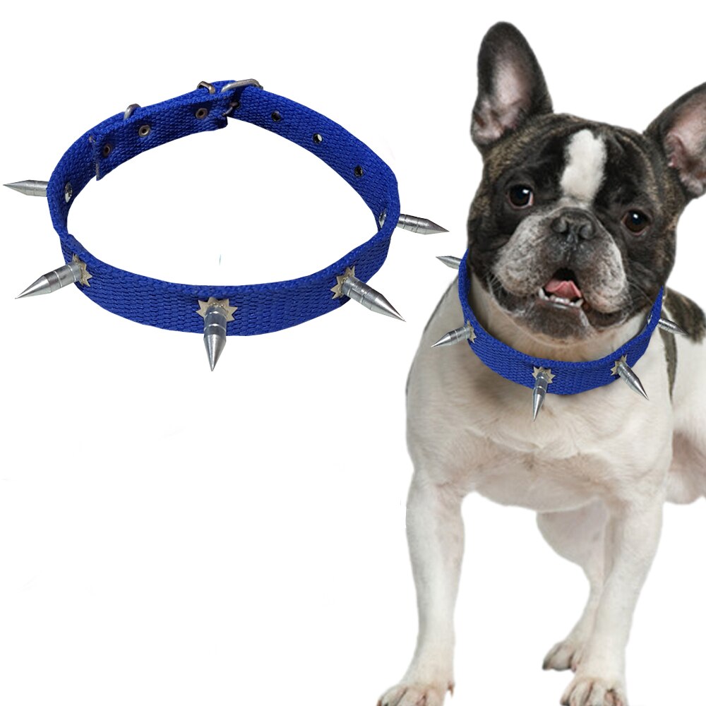 Yumusak Sungerli Mesh Mor Boyun Tasmasi Fiyatlari Ve Ozellikleri Yumusak Sungerli Mesh Mor Boyun Tasmasi Fiyatlari Ve Ozellikleri