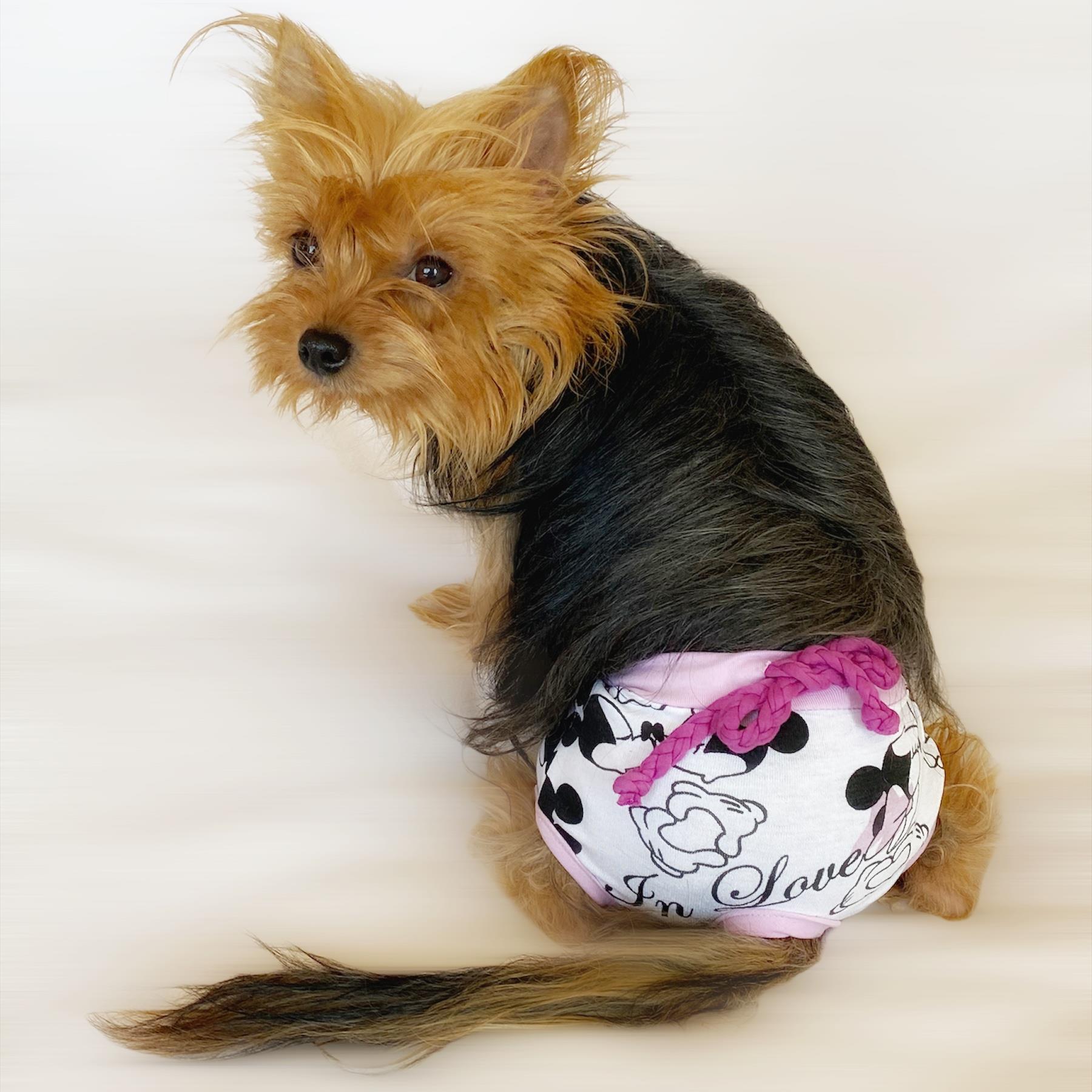 Victoria Secret Ic Camasiri N11 Com