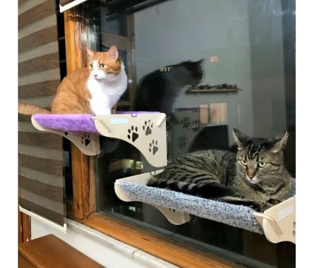 Vivyan Kalpli Minder Kedi Yuvasi Yatagi Fiyatlari Ve Ozellikleri