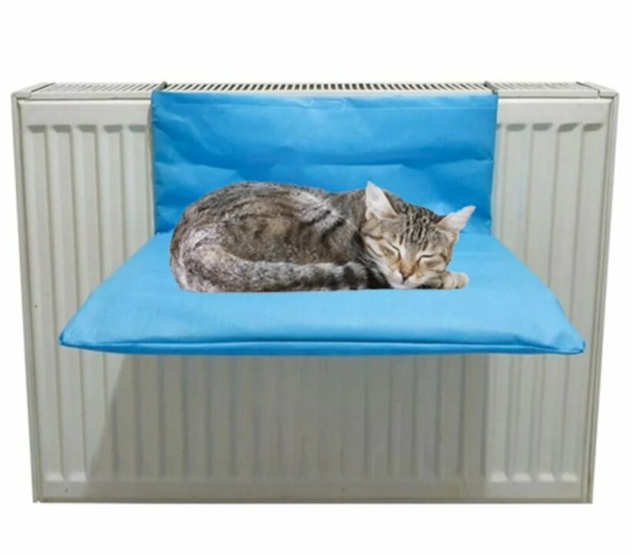 Catmozz Simit Seklinde Sunger Kedi Yatagi 50 X 50 X 15 Cm Fiyatlari Ve Ozellikleri