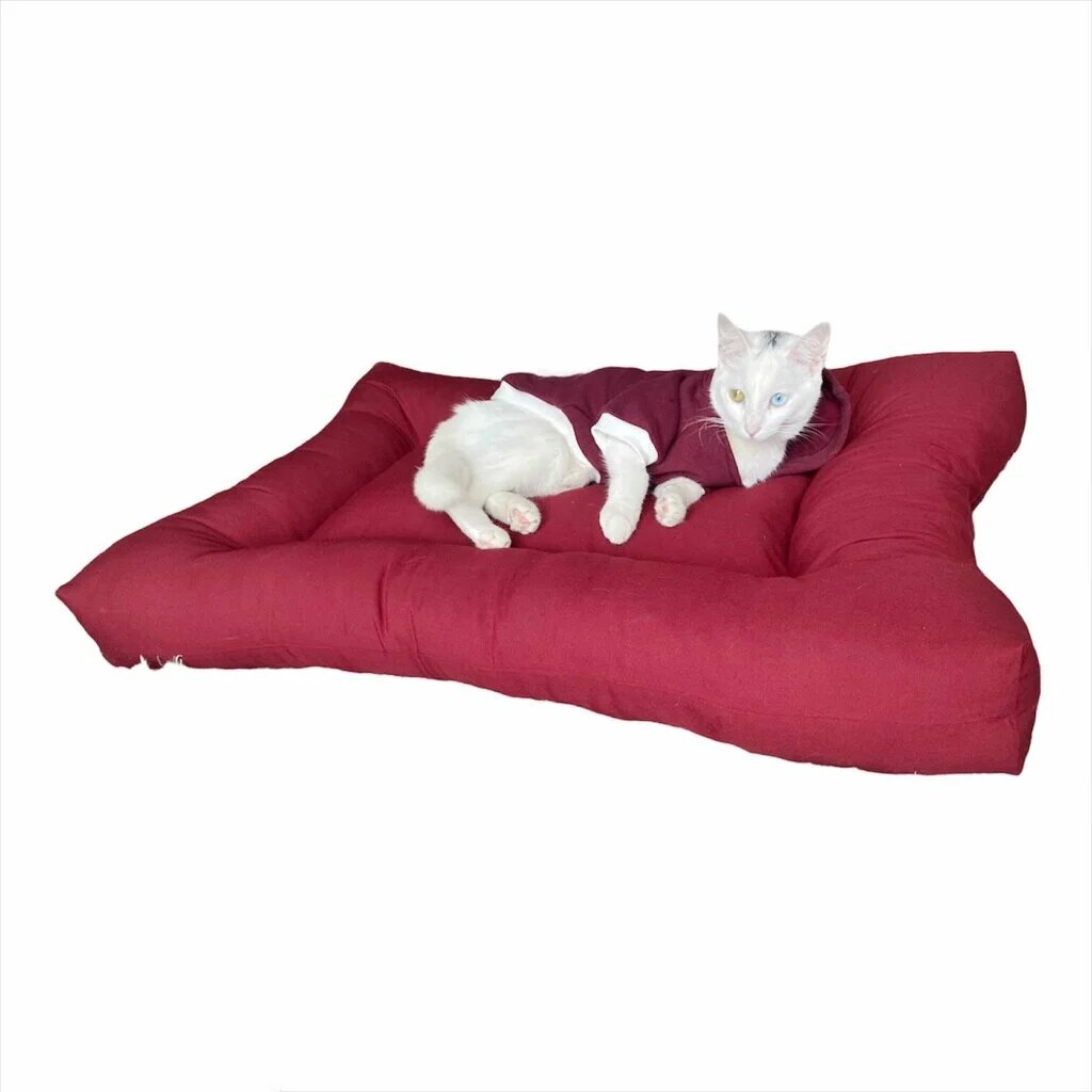 Kedi Kafasi Seklinde Kedi Yatagi 50 X 50 X 50 Cm Fiyatlari Ve Ozellikleri