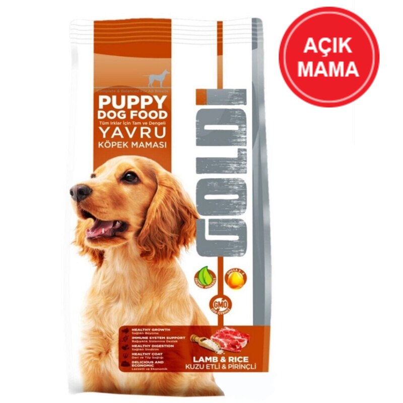 Goldi Kopek Mamasi Kopek Sahiplenme Goldi Kopek Mamasi Kopek Sahiplenme