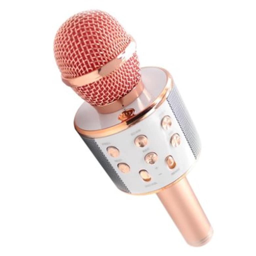 71047494 - Wiser Ws858 1 Karaoke Mikrofon BT SD Aux Kablosuz Wireless - n11pro.com 71047494 - Wiser Ws858 1 Karaoke Mikrofon BT SD Aux Kablosuz Wireless - n11pro.com