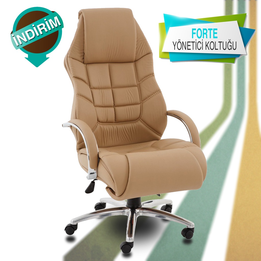 OFİS KOLTUĞU MAKAM KOLTUĞU KOLTUĞU BÜRO KOLTUK