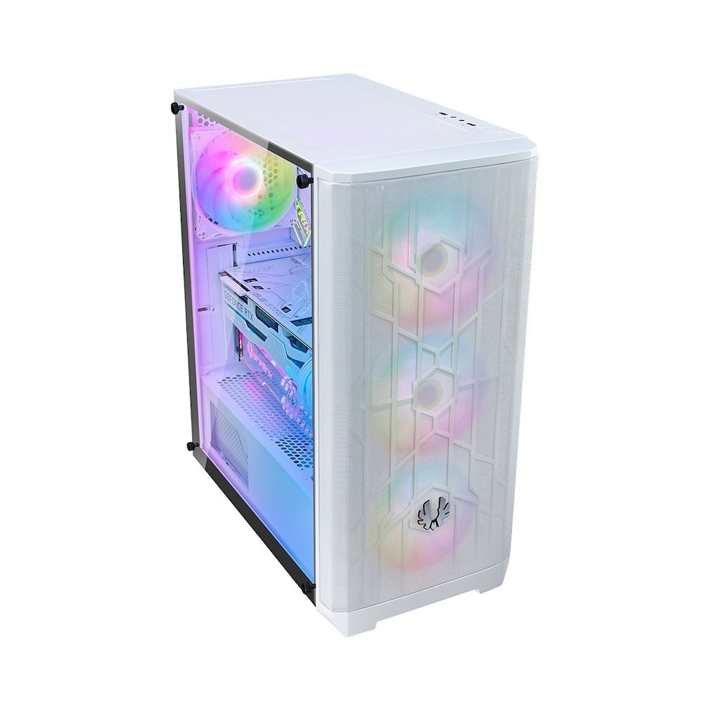 Bıtfenıx 600w ( 80 Plus) Nse-300-Wwgkw-Rp4a Nova Mesh Se Argb Atx