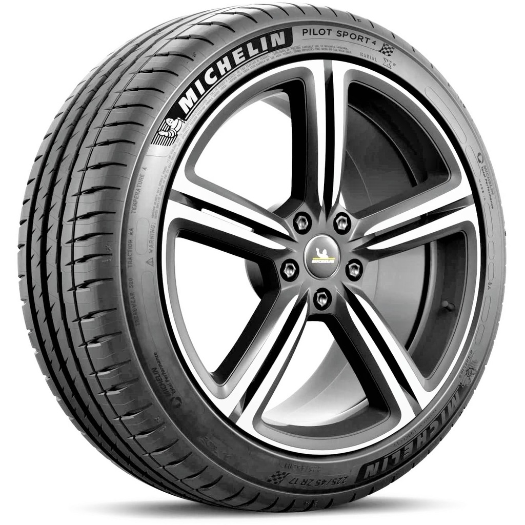 Michelin pilot sport 4 отзывы. Низкопрофильный Pilot Sport 4rs r22. Zr17. Michelin Pilot Sport Cup 2 225/45 r17 18год.