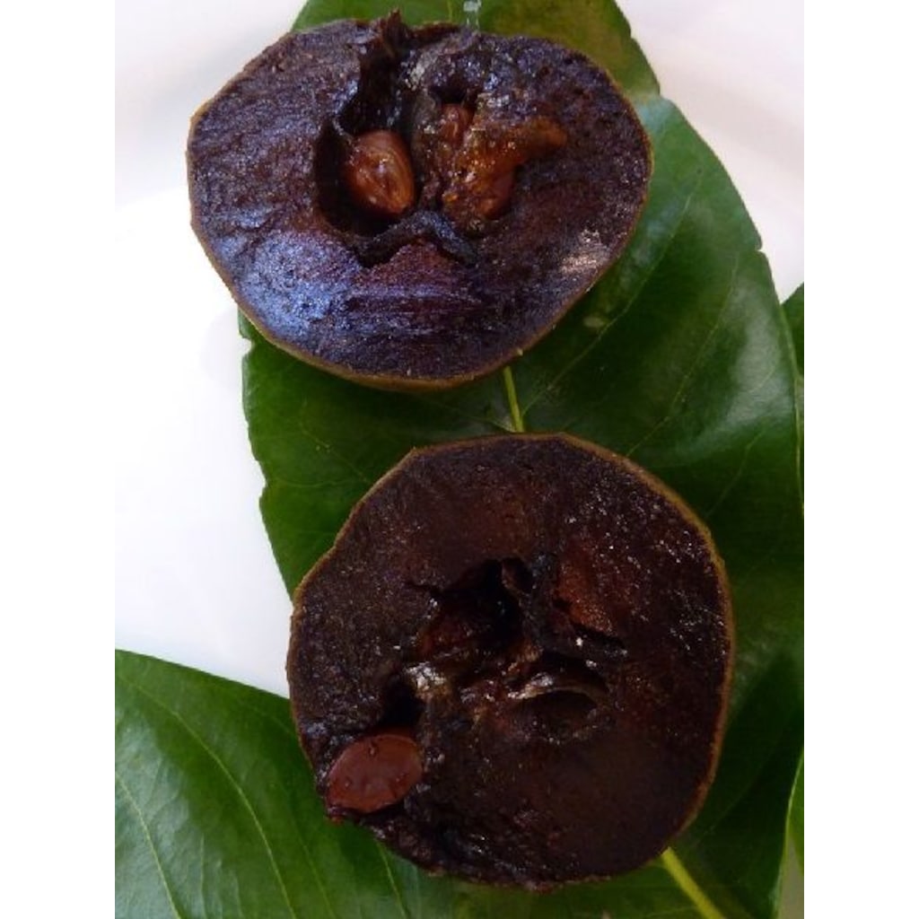 Fidanistanbul, Diospyros digyna Black Sapote, Çikolata Meyvesi