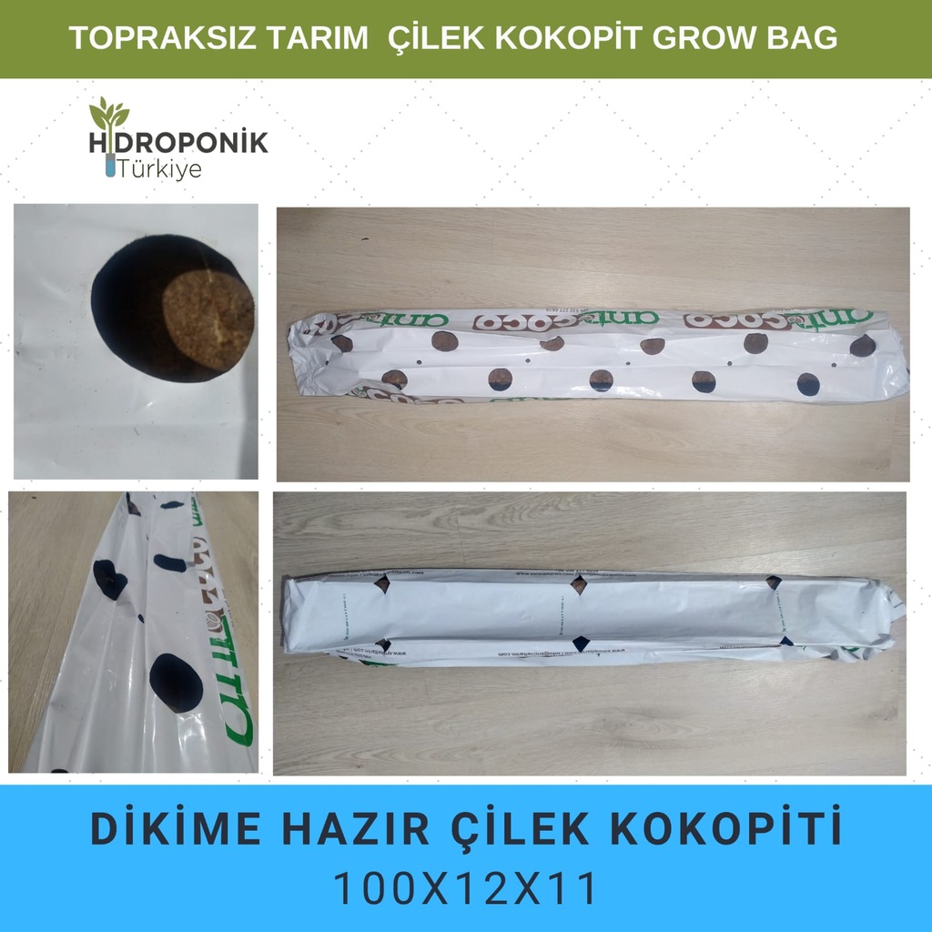 Hindistan cevizi kabuğu Çilek Kokopit Torba cocopeat 5 adet