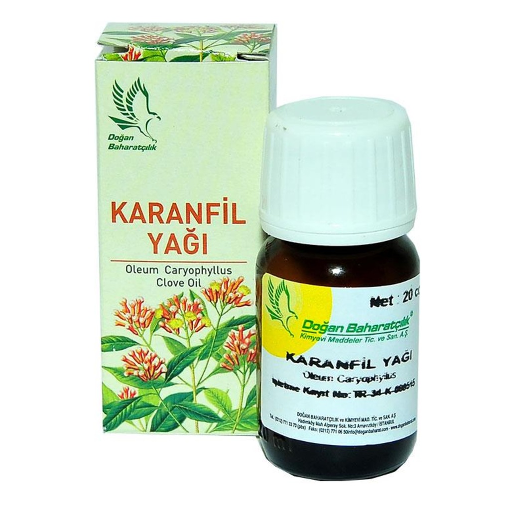 Karınca Yağı Kullananlar Memnun mu Karınca Yumurtası Yağı Yorumları Karınca Yağı Kullananlar Memnun mu Karınca Yumurtası Yağı Yorumları