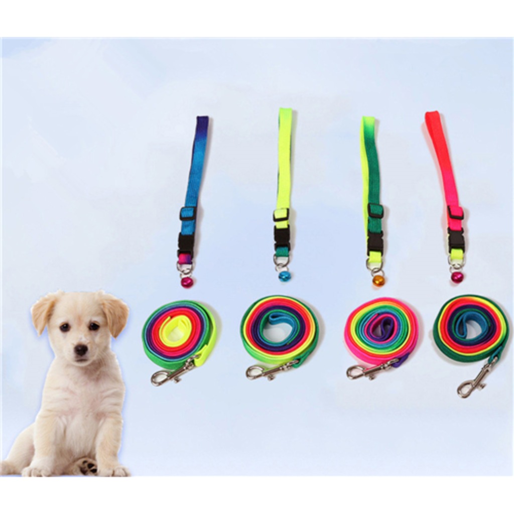 Renkli Küçük Irk Köpek Boyun Tasması + Gezdirme SetiMedium Fiyatları