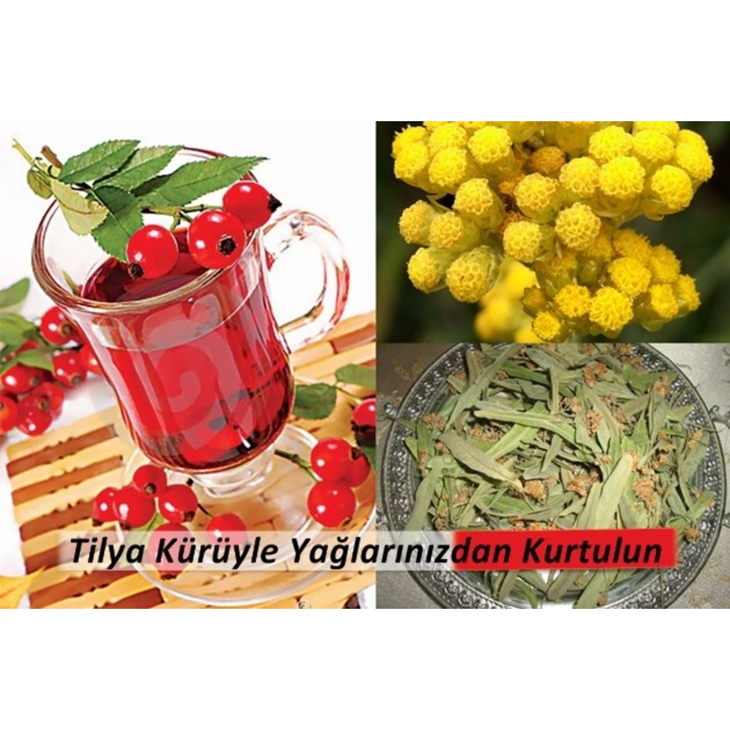 Tilya kürü nasıl kullanılır ile Etiketlenen Konular 53
