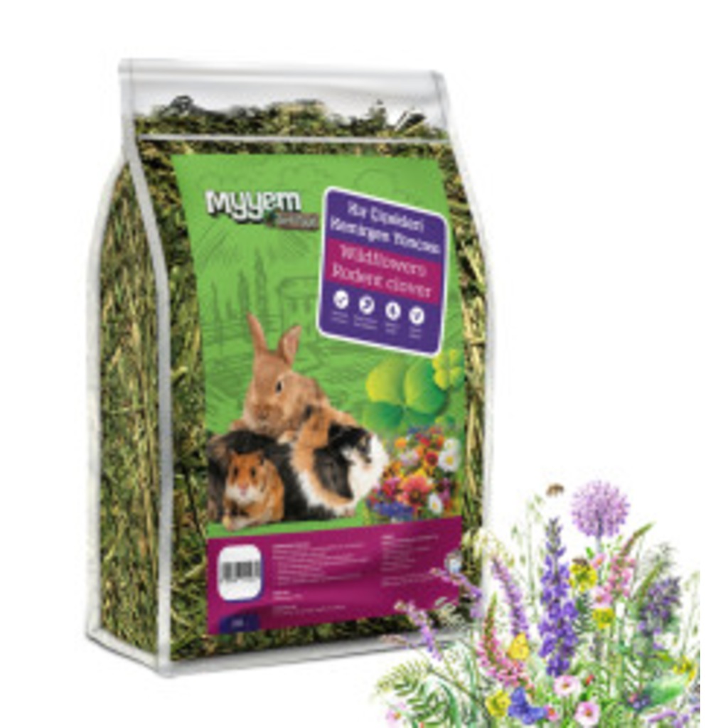 KEMİRGEN YEMİ myyem 10 çeşit kır çiçekli çayır yoncası 300gr
