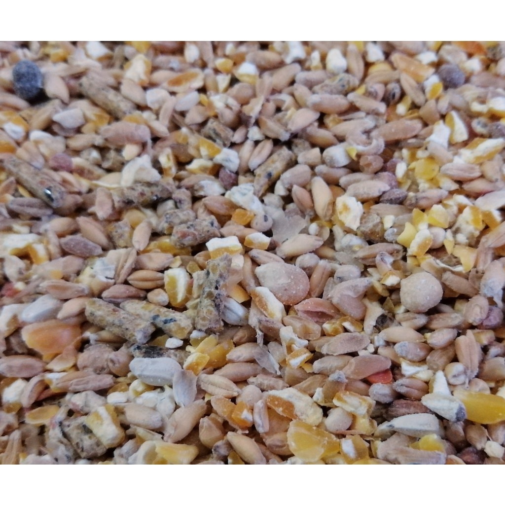 Tavuk Yemi Karisik 10 Kg Fiyatlari Ve Ozellikleri