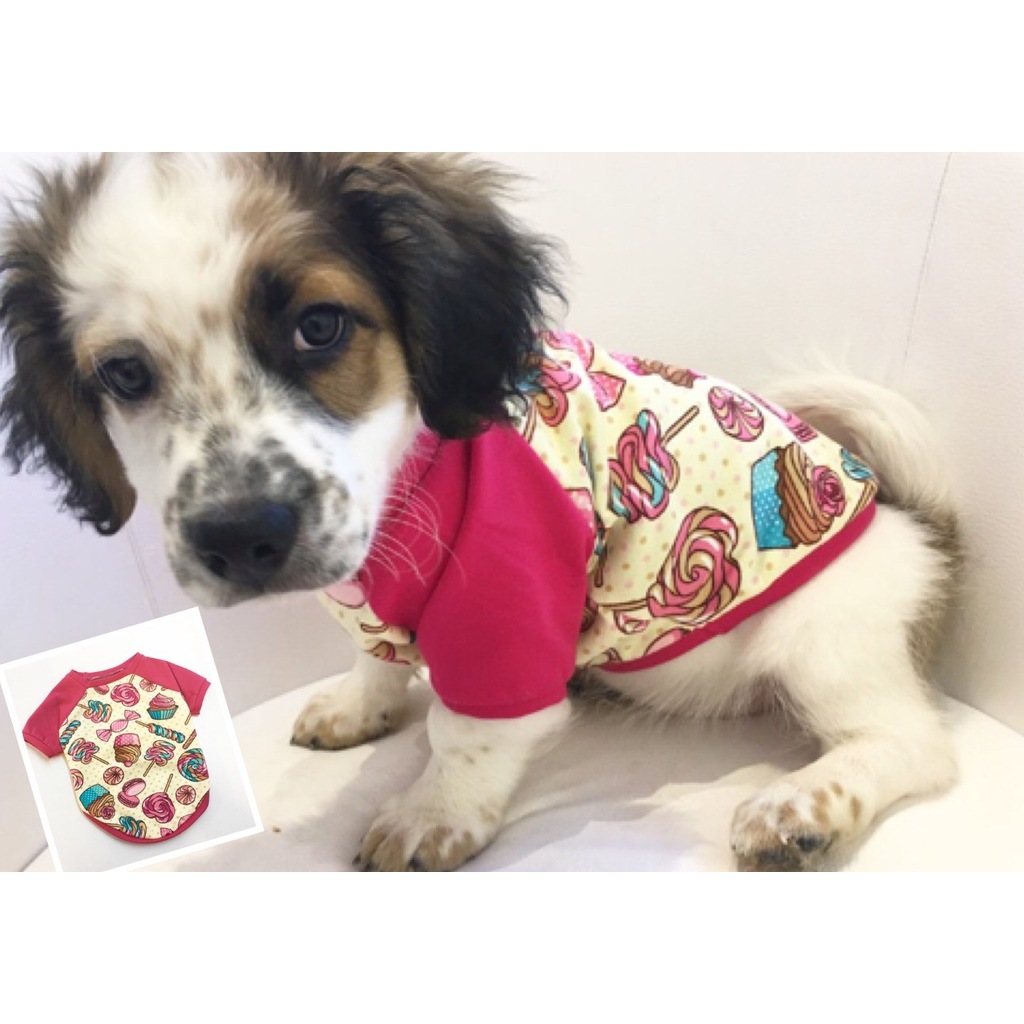 Dogi &amp; Dog Candy Sweat Köpek Kiyafeti ,köpek Elbisesi