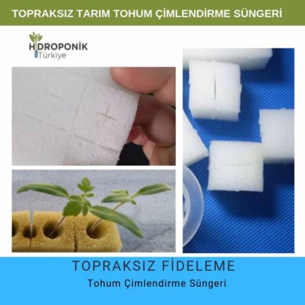 Çimlendirme Süngeri Topraksız Tarım Tohum Çimlendirme Fide