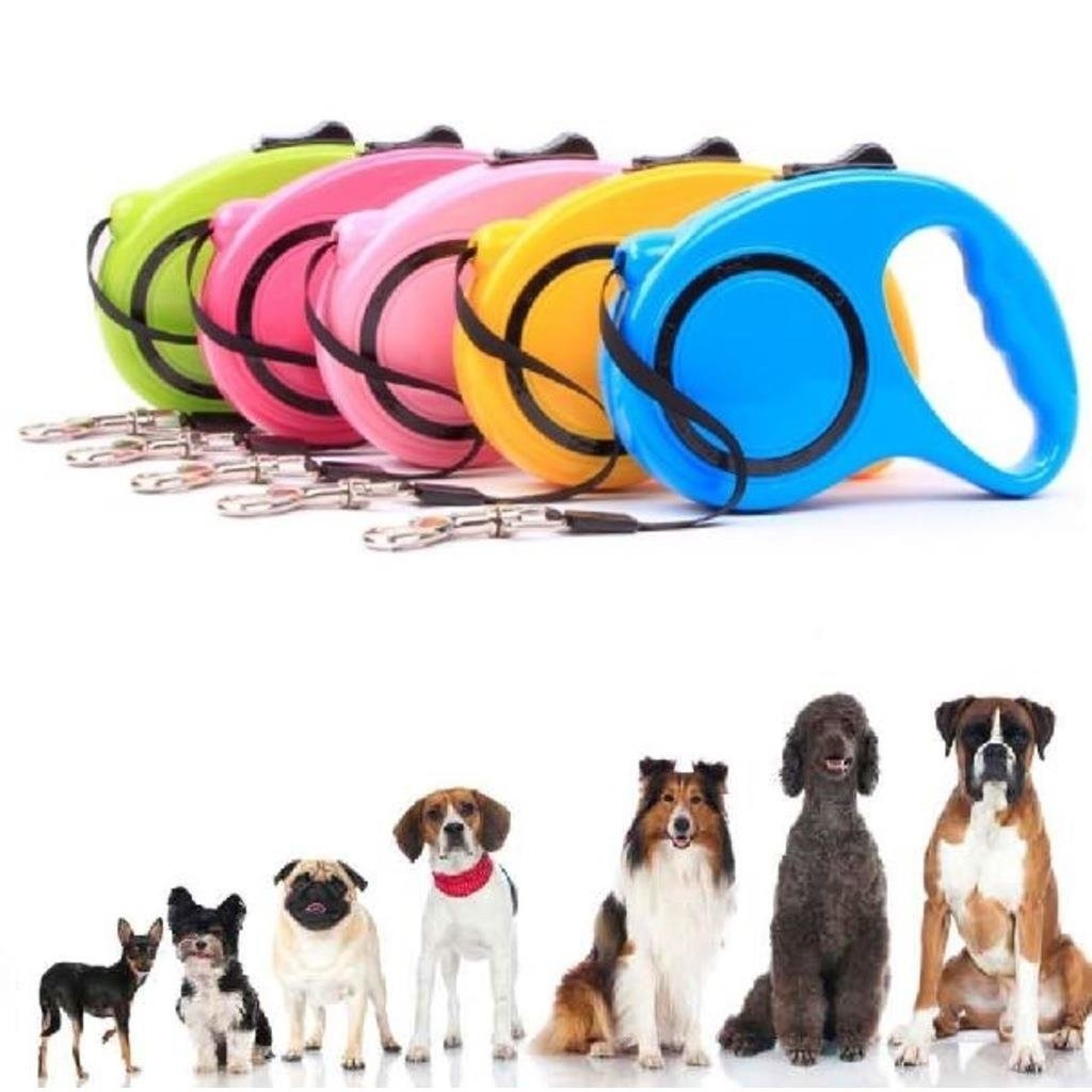 köpek tasması n11