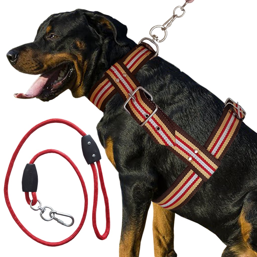 Göğüs Tasması Köpek Tasma Çeşitleri UD014 Fiyatları ve Özellikleri