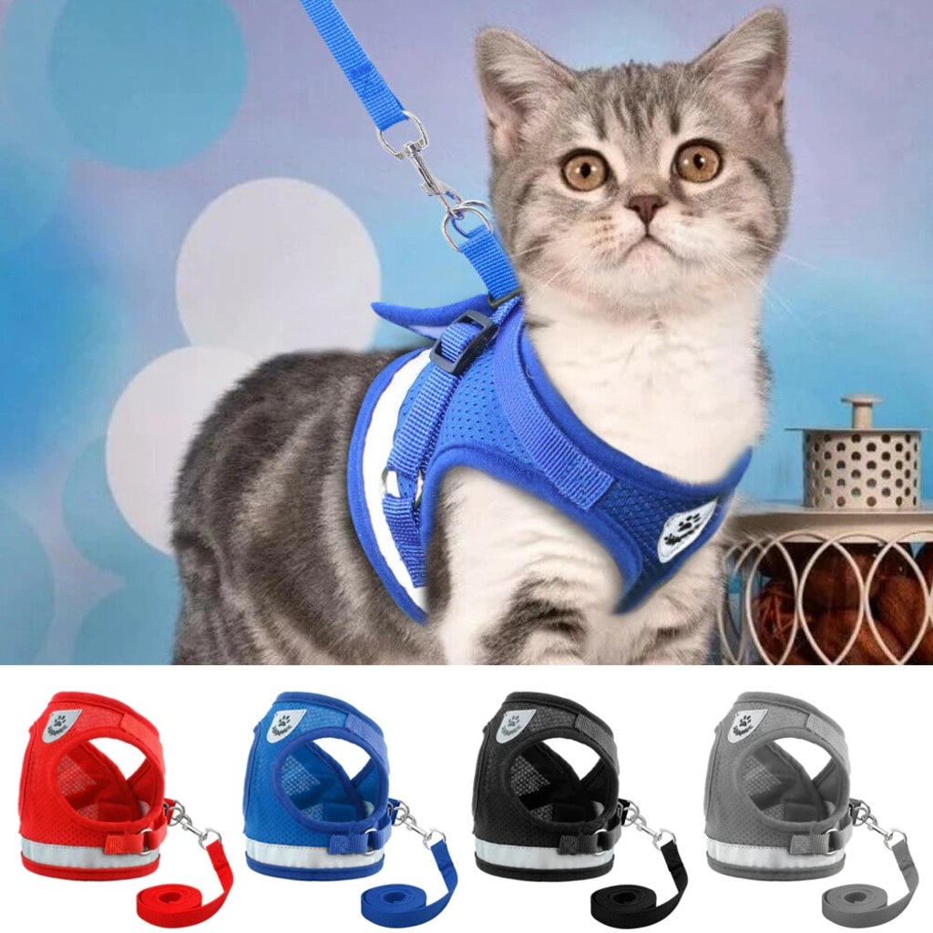 Kedi Kopek Tasmasi Gogus Tasma Seti Renkli Fiyatlari Ve Ozellikleri