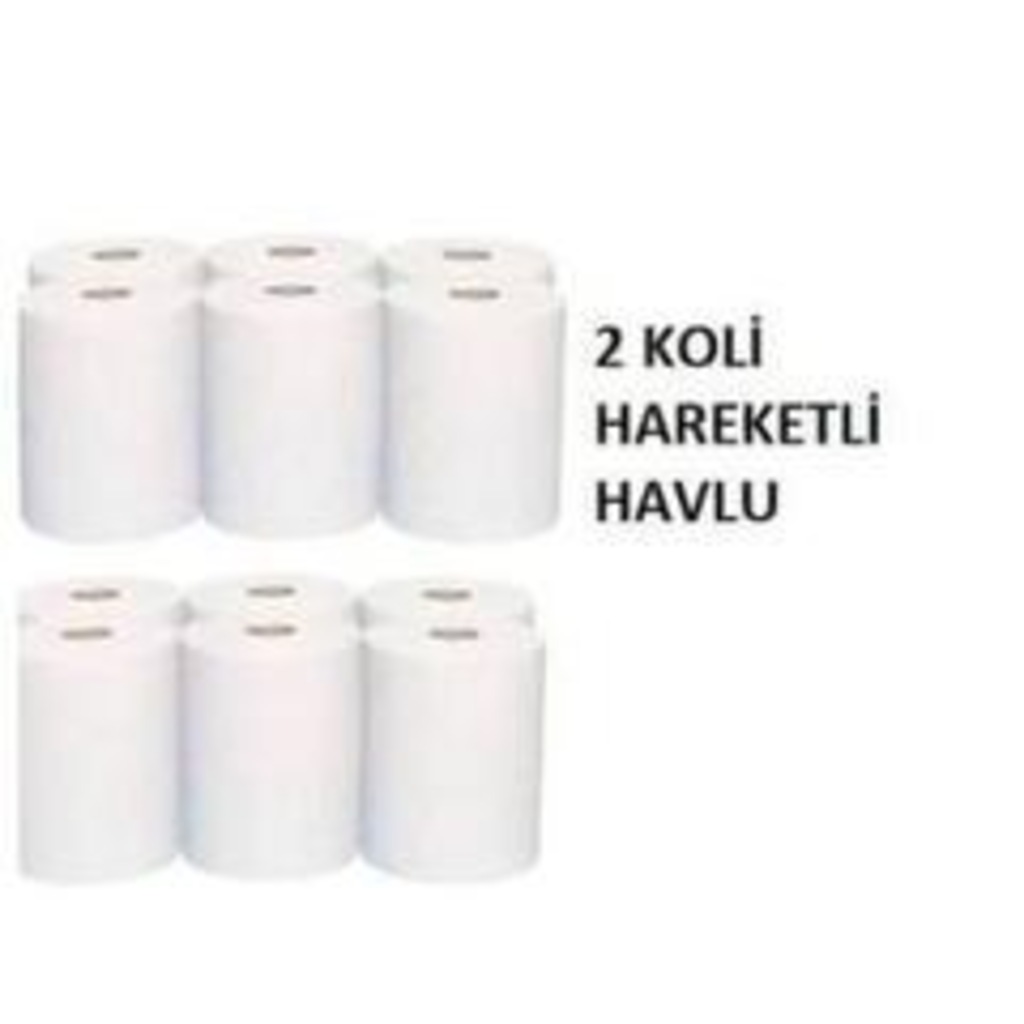 2 KOLİ FOTOSELLİ HAREKETLİ KAĞIT HAVLU 21 CM 6 Rulo %100 Selüloz