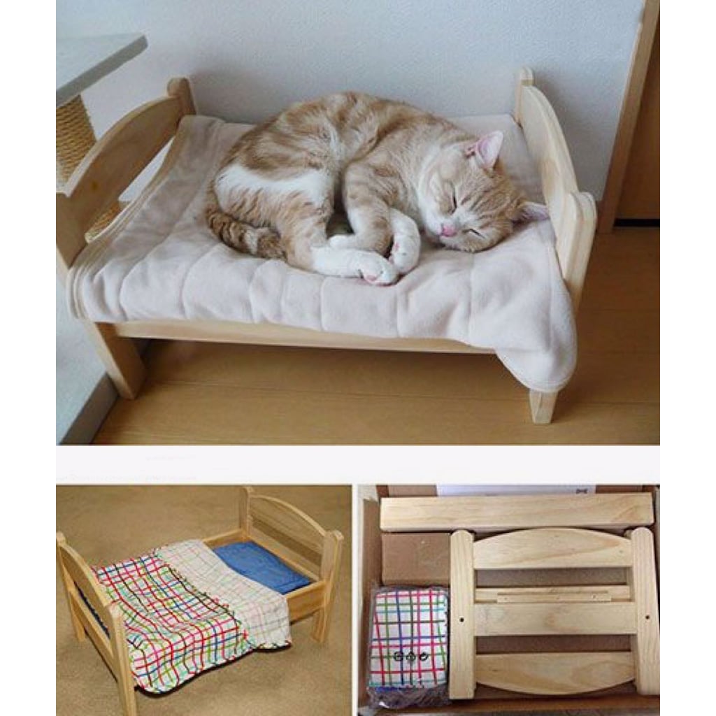 kasadan kedi yatağı