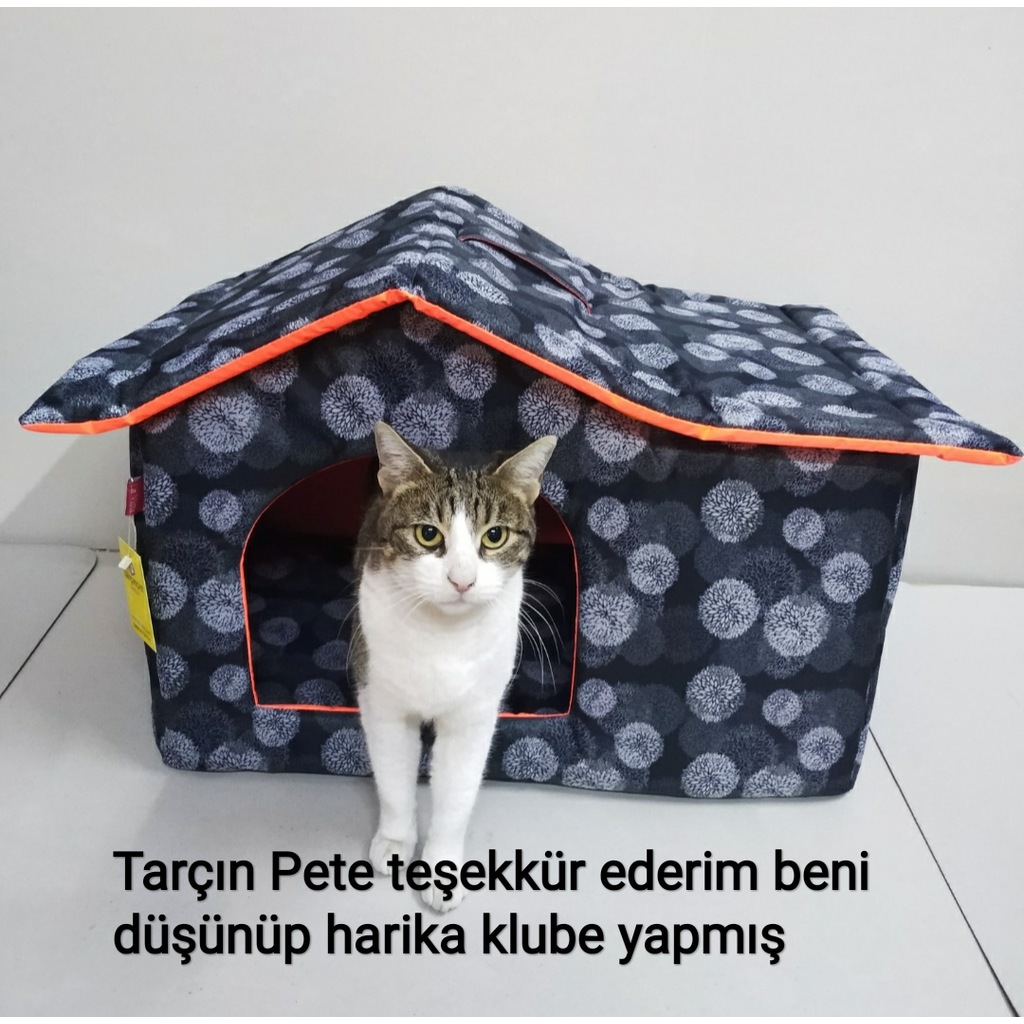 Kedi Köpek Klube Yatak