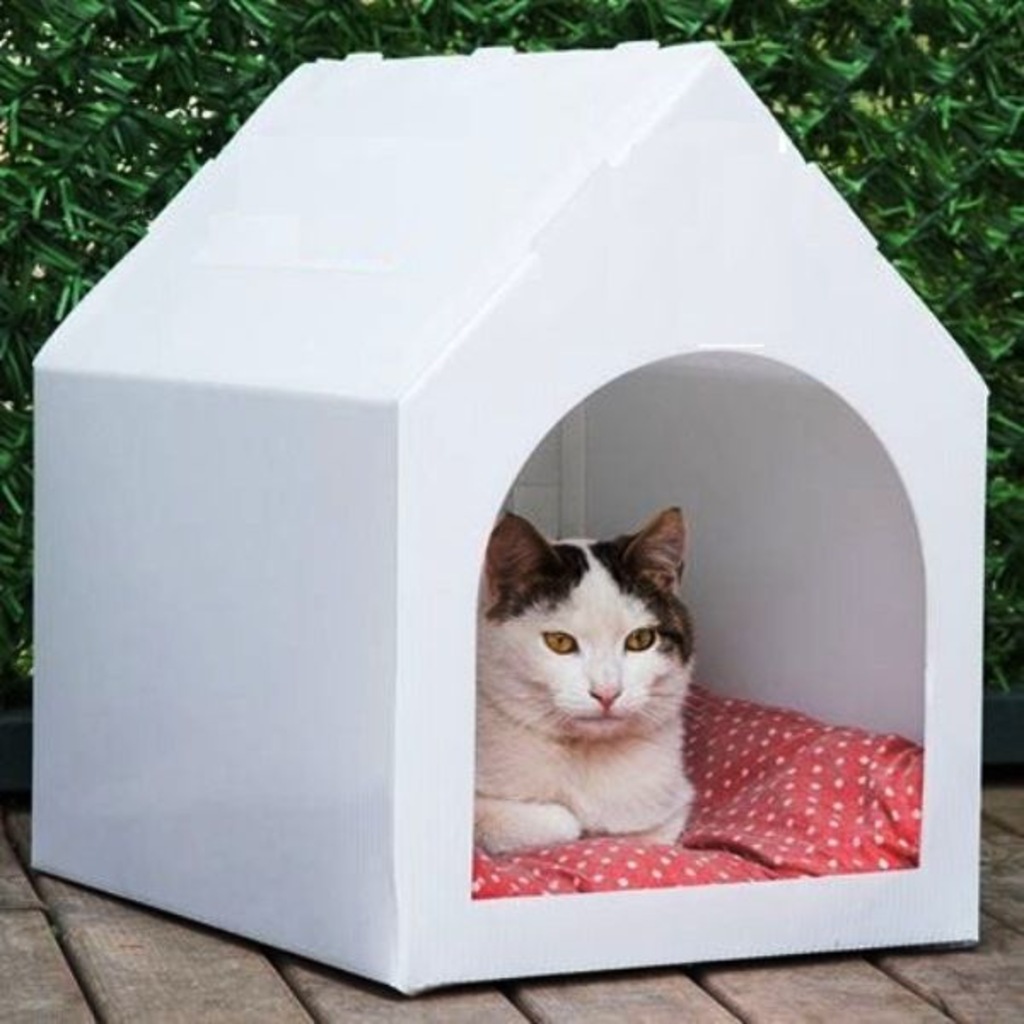 Maskot Kedi Evi Küçük BoyBeyaz Renkte Fiyatları ve Özellikleri