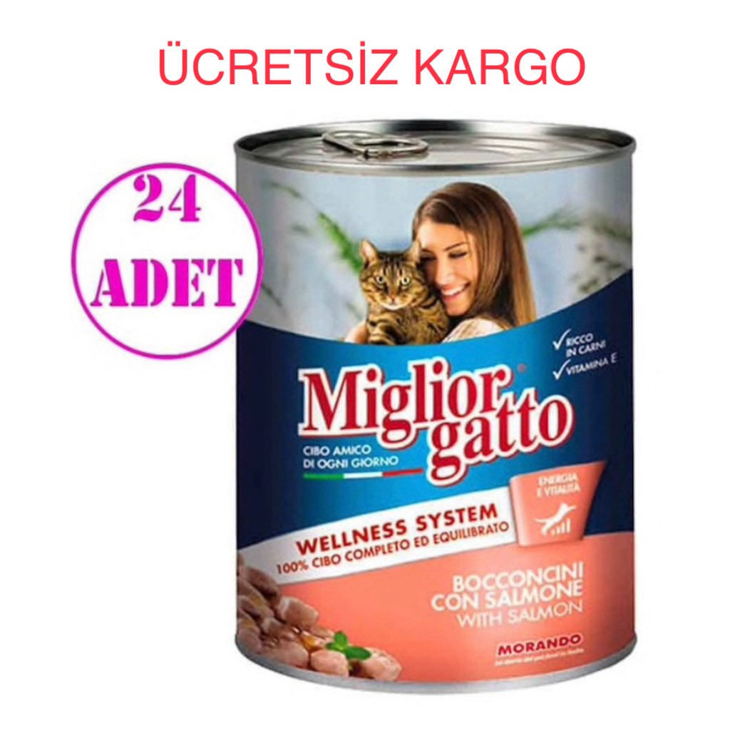 Miglior Gatto Somonlu Konserve Kedi Maması 405 Gr 24 ADET