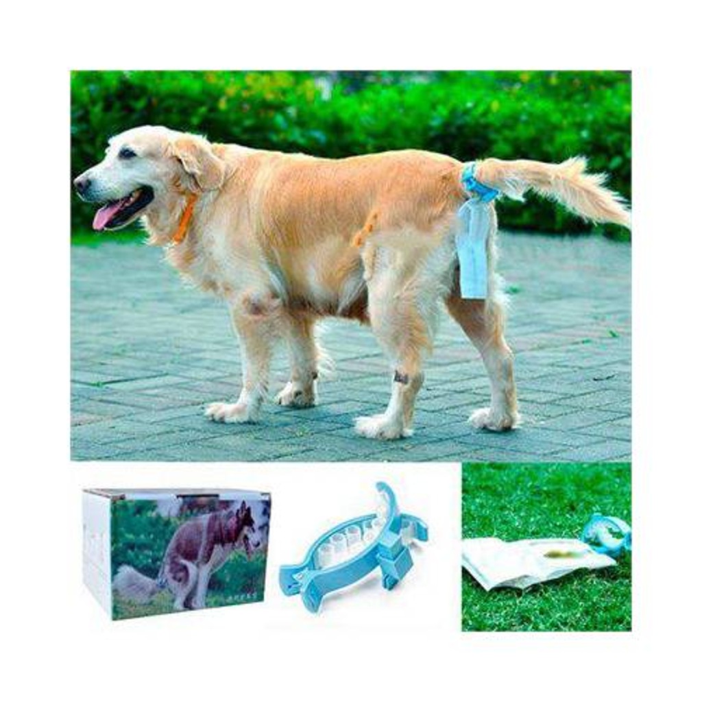 köpek bezi fiyatları
