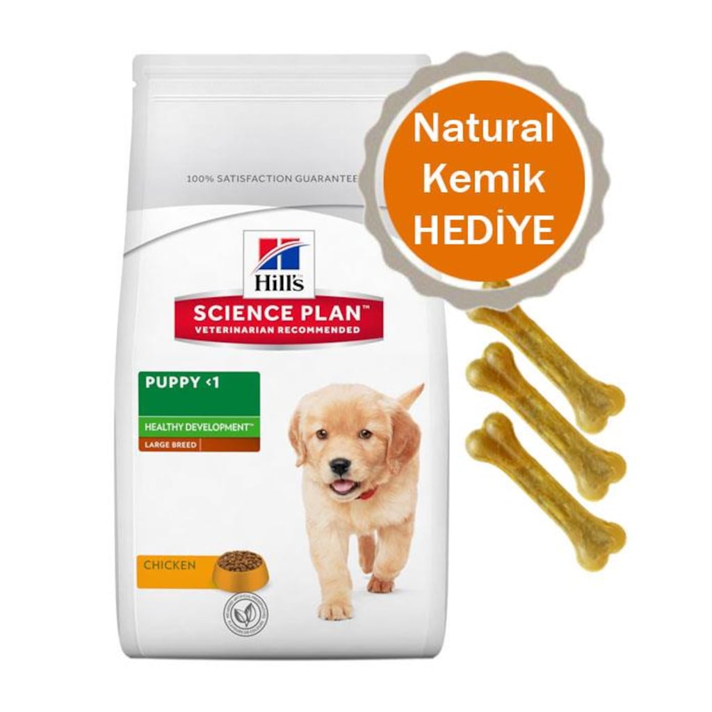 Büyüme ve Labrador ağırlığı Büyüme ve Labrador ağırlığı