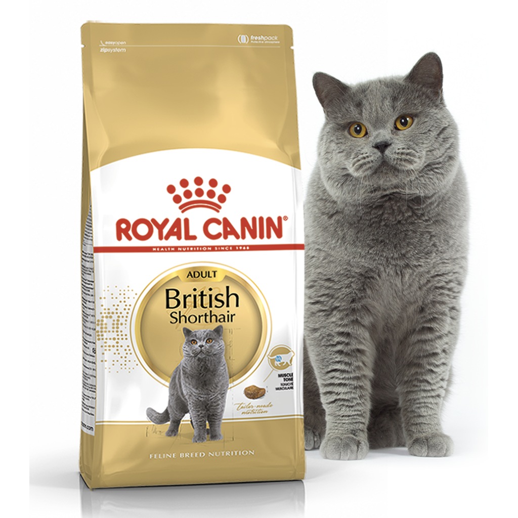 Royal Canin British Shorthair Adult 4 Kg Skt 27 01 2021 N11 Com