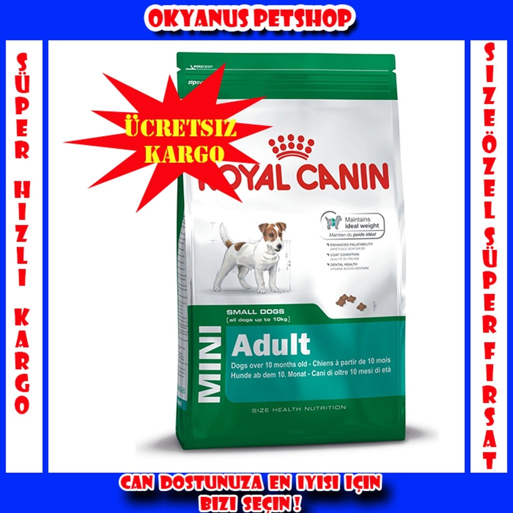 Royal Canin Mini Adult Köpek Maması 4 Kg