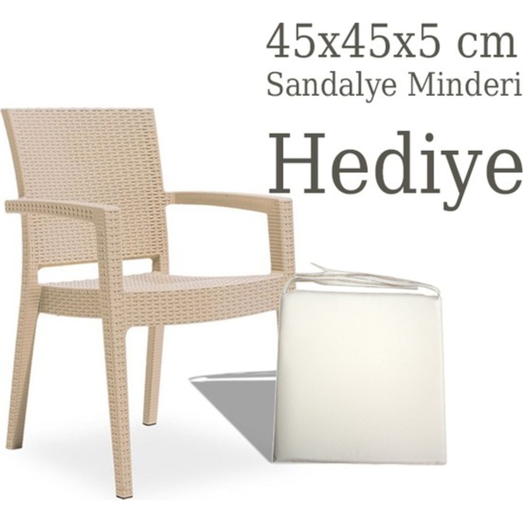 Novussi Paris Rattan Koltuk 4 Adet Sandalye 4 Minder