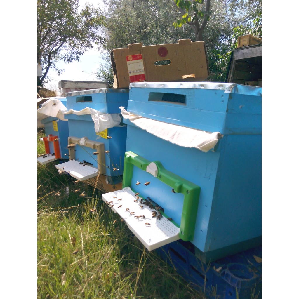 ARI KOVANI Fiyatları ve Özellikleri