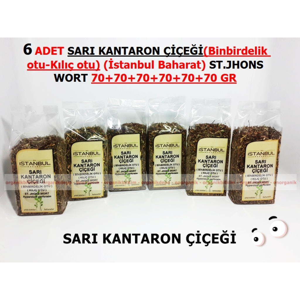 Kantaron Çiçeği Çanta Modeli Kantaron Çiçeği Çanta Modeli