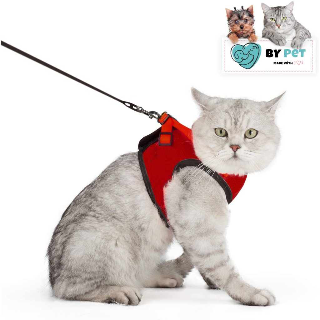 Bypet Kacis Onleyici Kedi Gezdirme Tasmasi Reflektorlu Tasma Fiyatlari Ve Ozellikleri