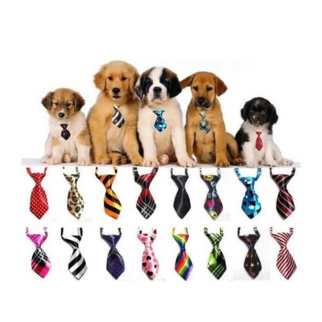 Mini Kravat Şeklinde Köpek Tasması Asorti