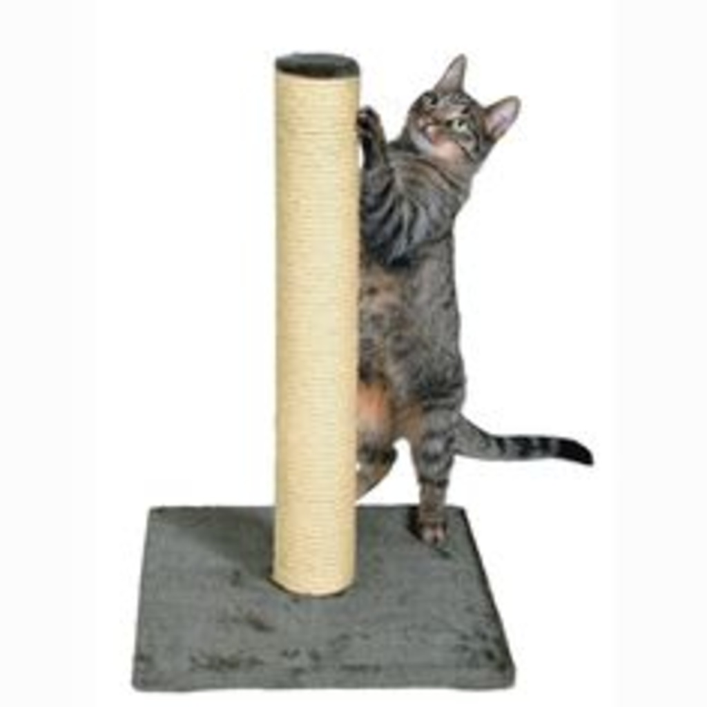 Kedi Tırmalama Direği<strong>Ücretsiz Kargo</strong> Fiyatları ve Özellikleri