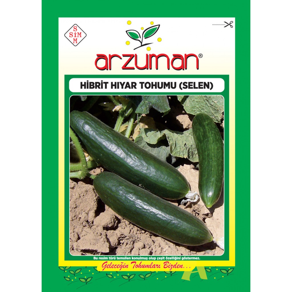 Arzuman Hibrit Oturak Yer Salatalik Tohumu F1 Selen Fiyatlari Ve Ozellikleri