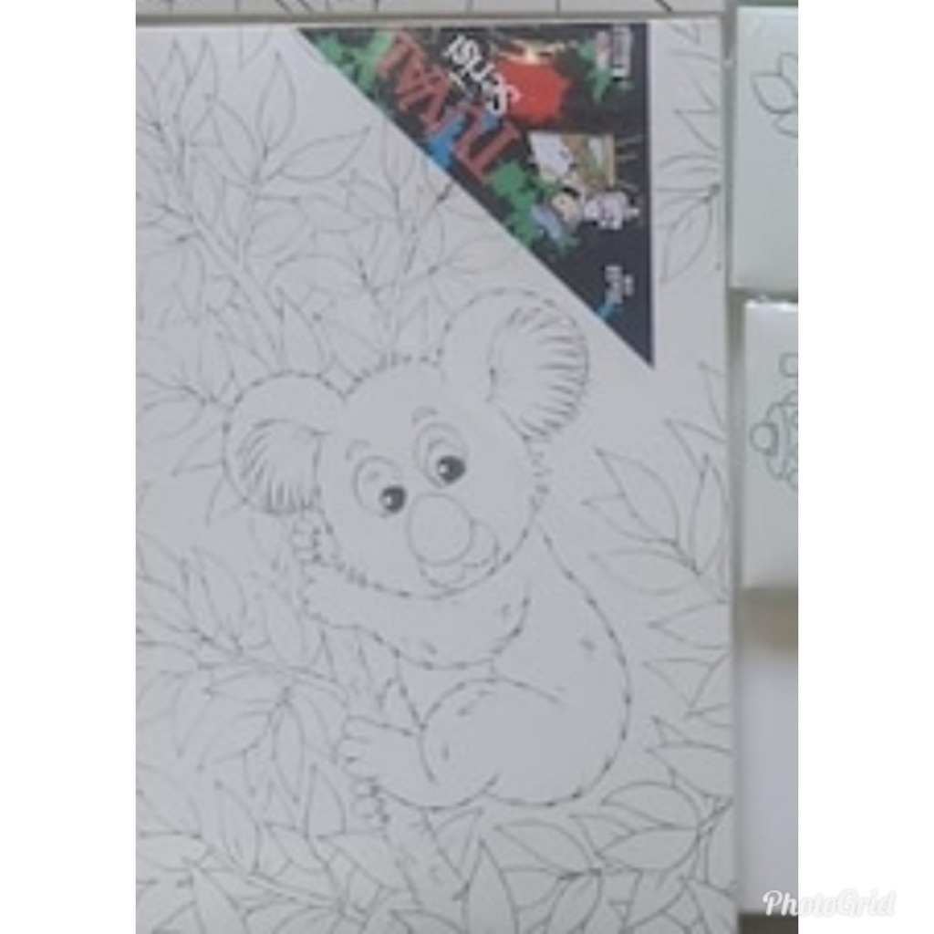 Silinebilir Tuval Abka 35x50 cm