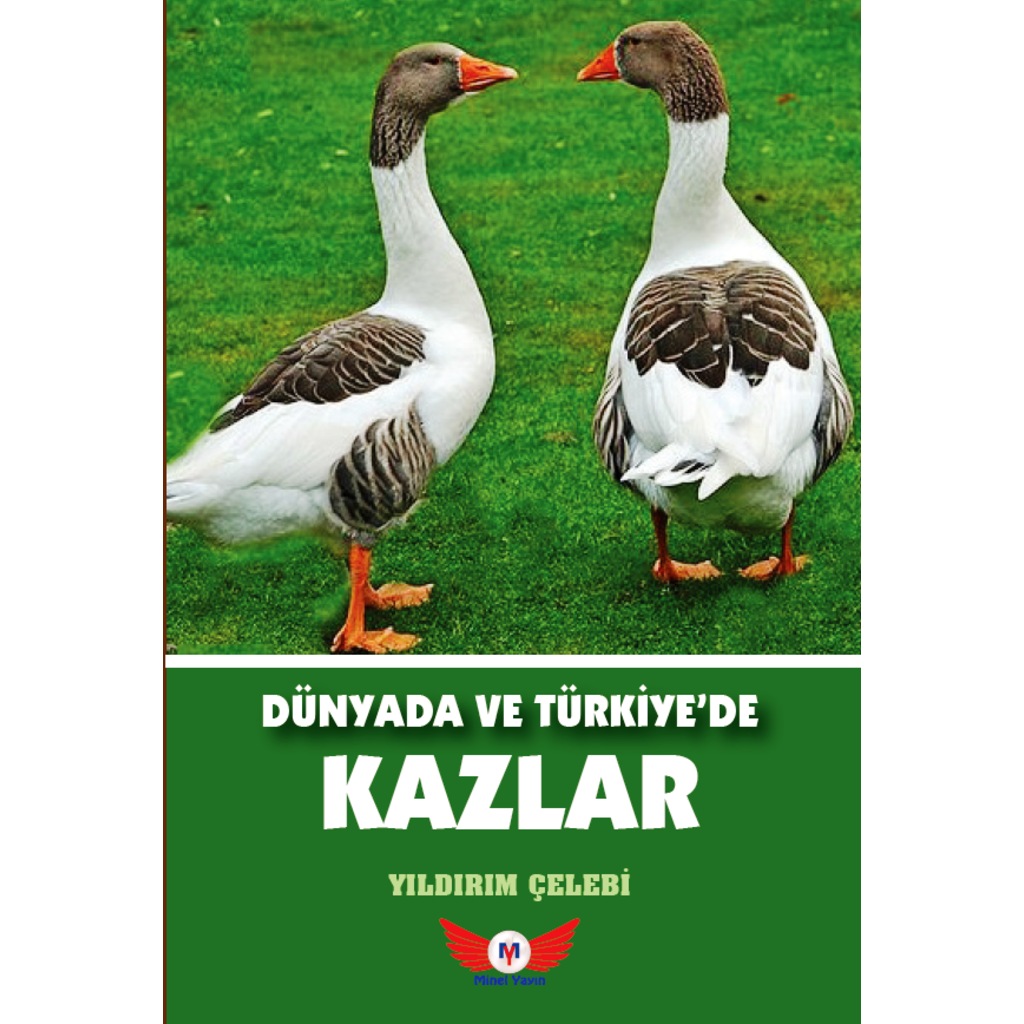 Dünyada ve Türkiye'de Kazlar