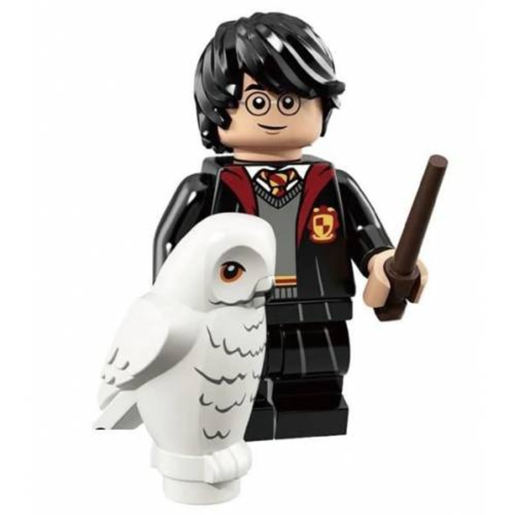 Lego Uyumlu Harry Potter mini figür Harry Potter+Baykuş (C82)