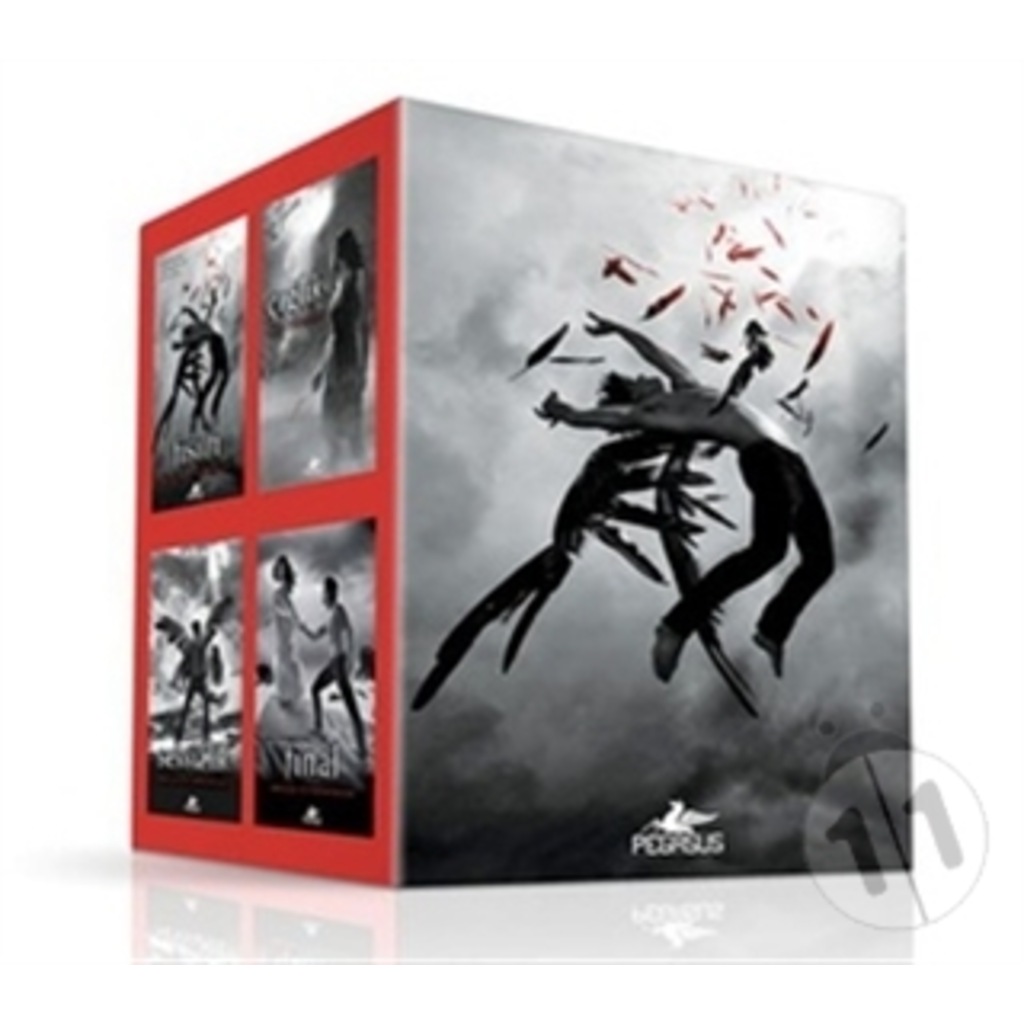 Hush Hush Serisi Kutulu Set (4 Kitap Ciltli)