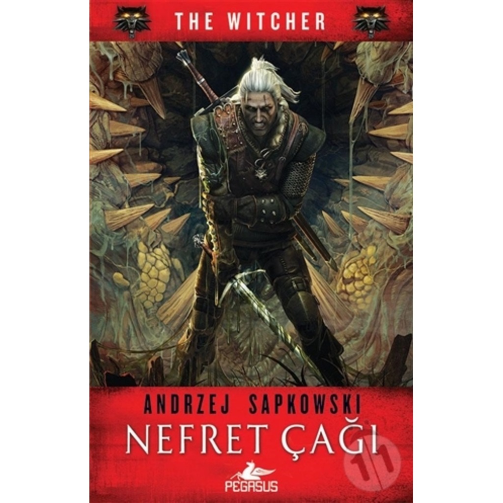 Nefret Çağı - The Witcher 4