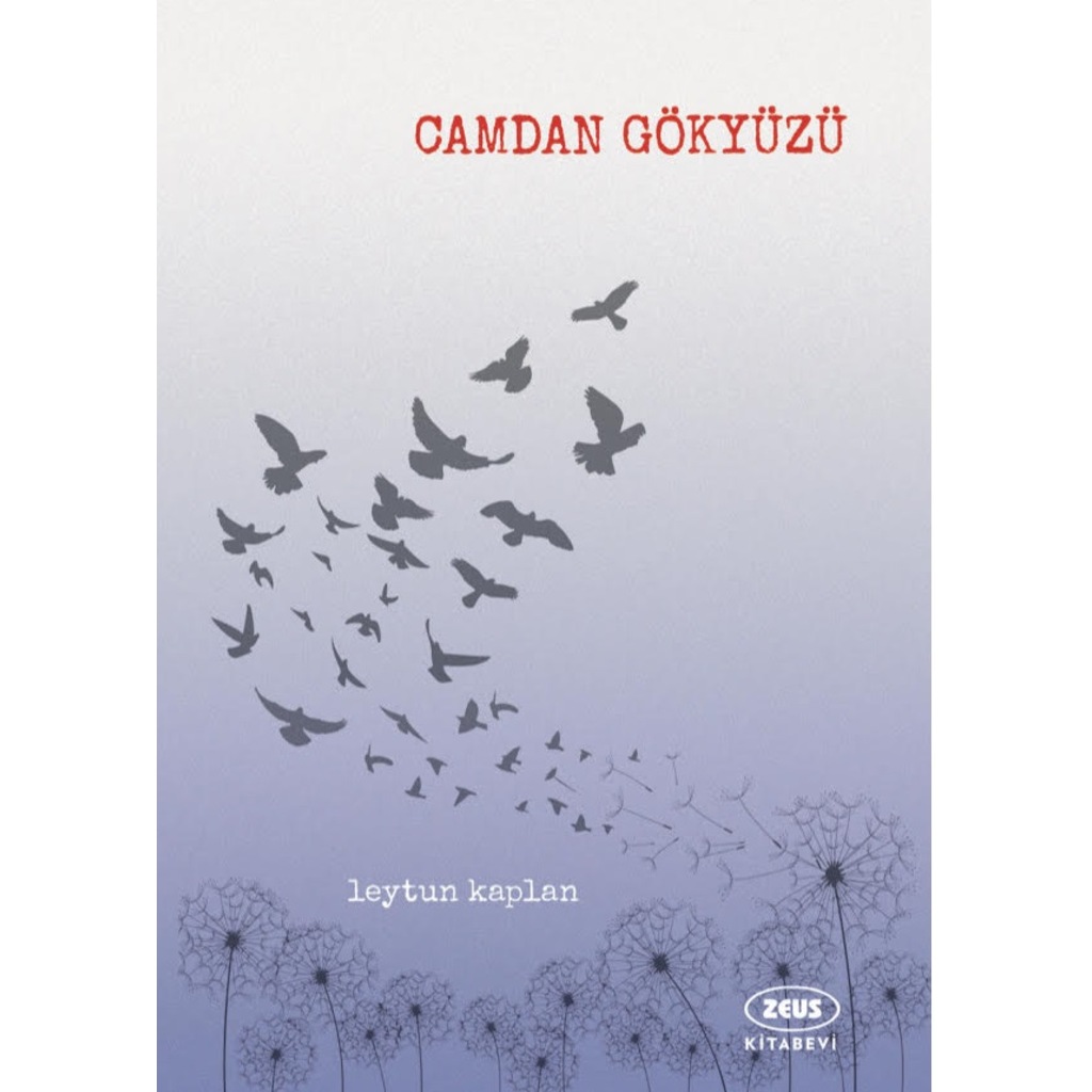 CAMDAN GÖKYÜZÜ (yazarından imzalı)