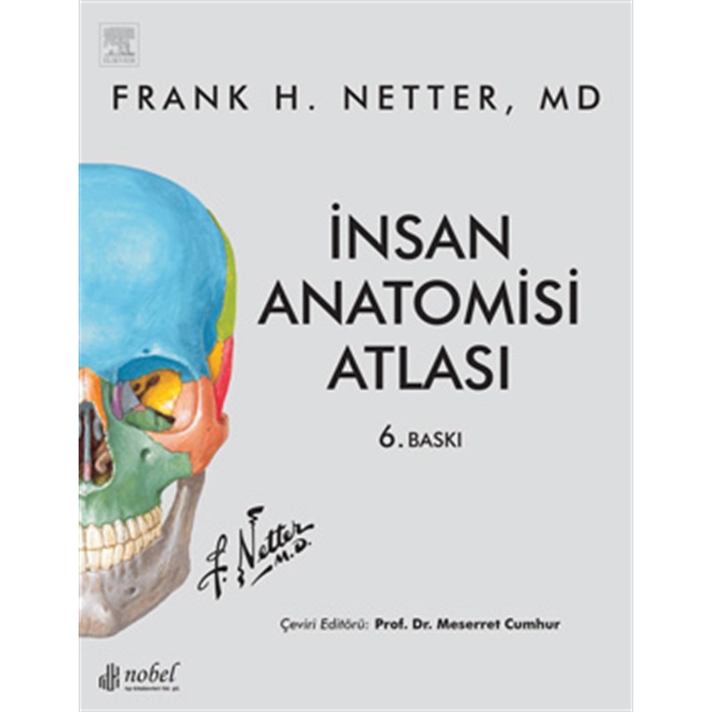 Netter İnsan Anatomisi Atlası