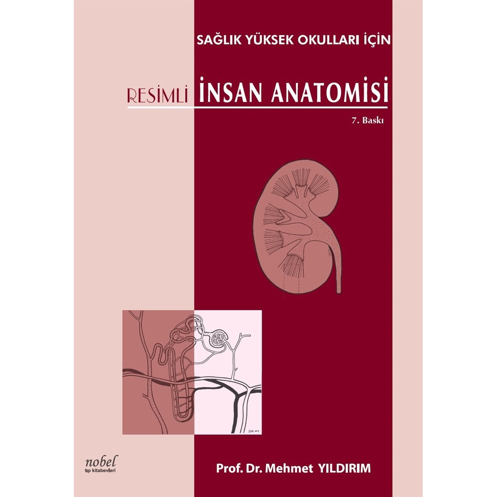 Resimli İnsan Anatomisi: Sağlık Yüksek Okulları İçin 2020