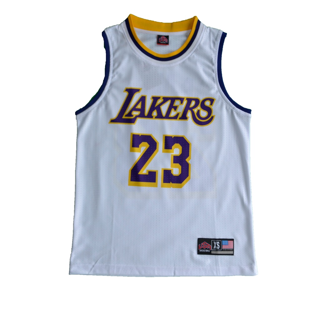 lebron james 23