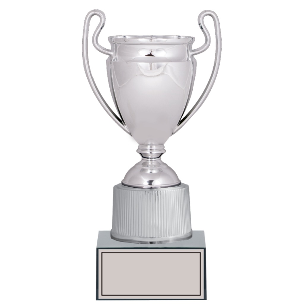 METAL ÖDÜL KUPASI 26 cm