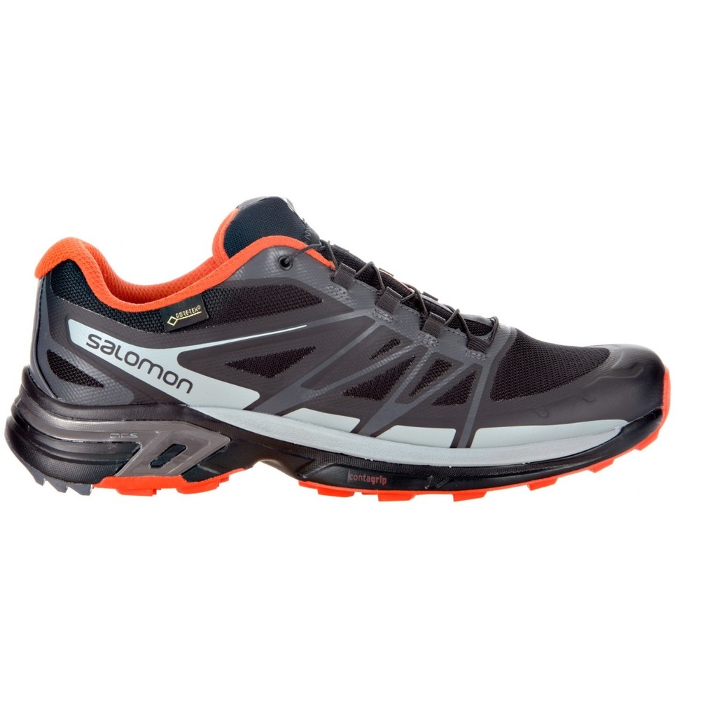 salomon wings pro 2 gtx